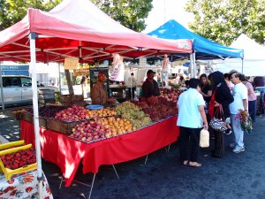 This was only one of many stands.