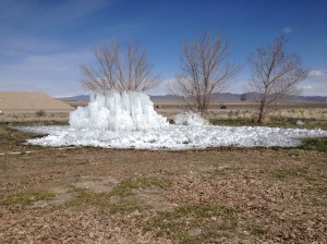 Nothing like a sprinkler left to run overnight during a freeze.