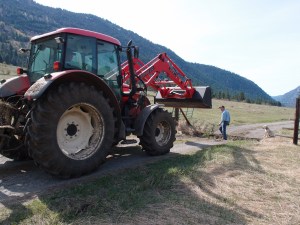 The hole was almost filled in where the old cattle guard was.