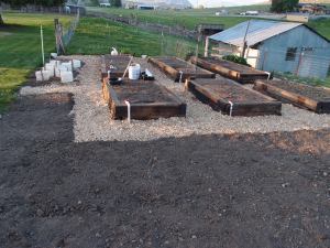 Finished beds, ready to plant.  The area to the left where the white boxes are will be for tomatoes and peppers.  The bare dirt on the left and up front is for corn.